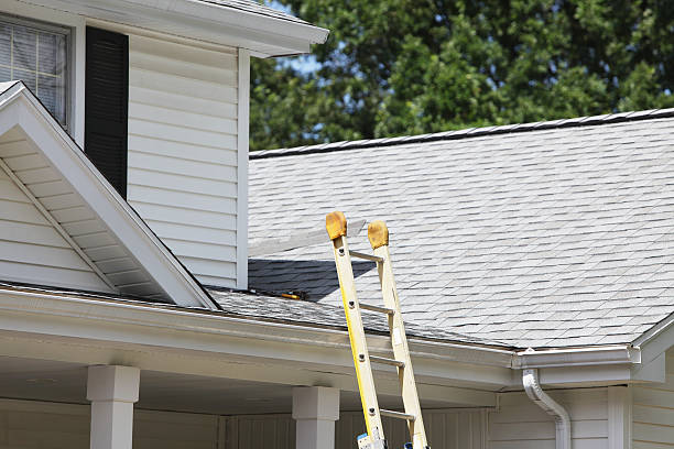Best Construction Debris Removal  in Darmstadt, IN